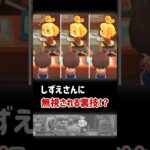 【あつ森】しずえさんに冷たく無視される裏技【小ネタ】【あつまれ どうぶつの森】#あつ森 #あつまれどうぶつの森