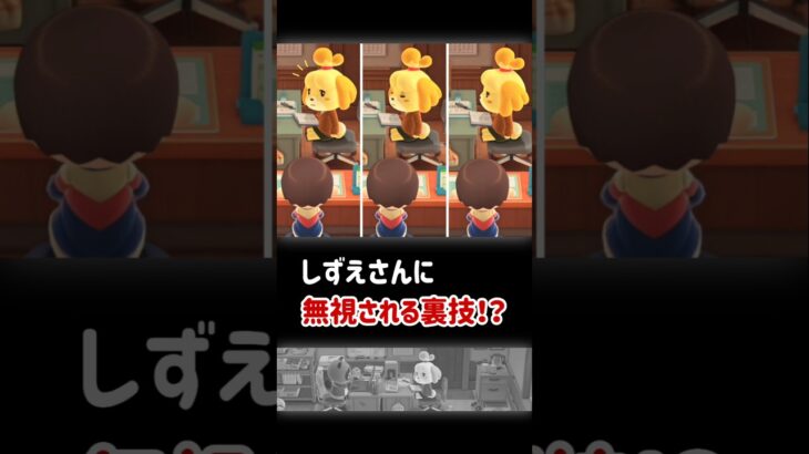 【あつ森】しずえさんに冷たく無視される裏技【小ネタ】【あつまれ どうぶつの森】#あつ森 #あつまれどうぶつの森