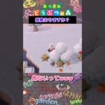 【あつ森】ホンマさんって今何してるんだろ？