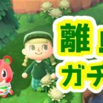 【あつ森】サラちゃんを見つける離島ガチャ＃７【どうぶつの森】