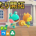 【あつまれどうぶつの森/あつ森】第３島をゆったり楽しんでいきます🏝【生配信】