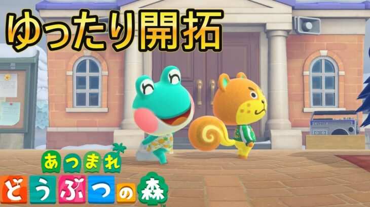 【あつまれどうぶつの森/あつ森】第３島をゆったり楽しんでいきます🏝【生配信】