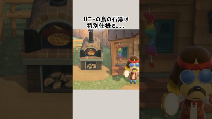 【あつ森】パニーの島は特別仕様！？