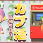 【あつ森】ひとりでカブ活