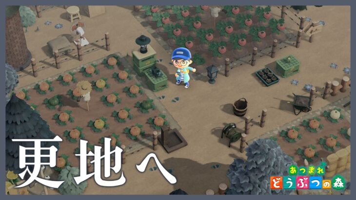 【あつ森】続：次の島クリに向けて更地化＆ちょっとカブ売る【整地雑談】