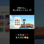 島の成長🩵🩵 #あつ森 #あつ森初心者 #あつまれどうぶつの森 #ゲーム #あつ森ライフ #のんびり #ゲーム実況 #癒し