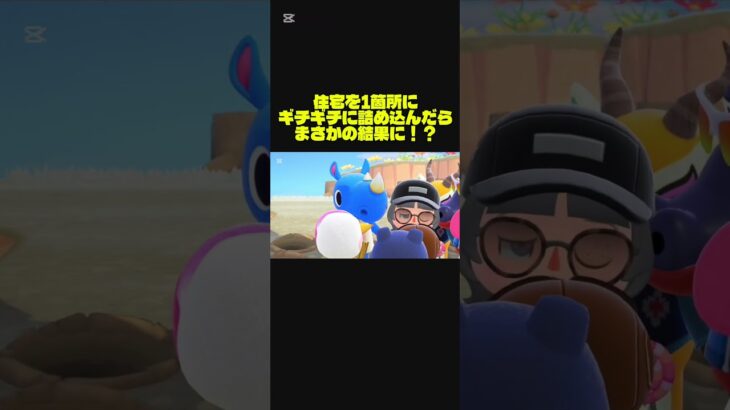 あつ森 住民で実験します #あつ森 #あつまれどうぶつの森