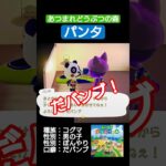【#あつ森 】パンタ【#あつまれどうぶつの森 】