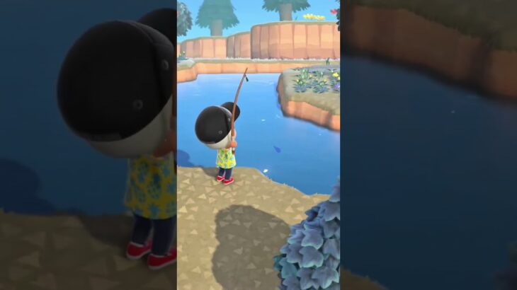 今更あつ森始めてみた「完全初見」#ゲーム#あつ森