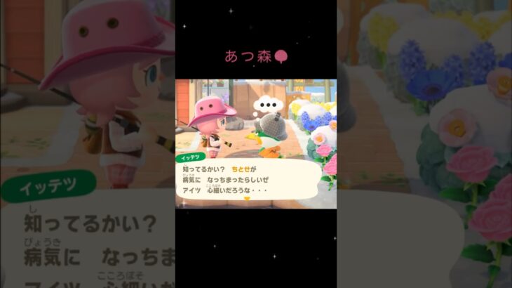 あつ森🌳　ちとせ　おくすり