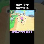 期待するとこうなる【あつ森】