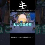 【あつ森】ーキ。キャンプサイトの闇を見る初心者についてー #あつまれどうぶつの森 #あつ森 #あつ森初心者