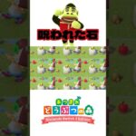 きんこうせきをとったら呪われた【あつ森】