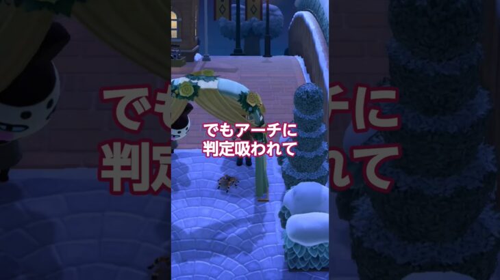 タランチュラで感じる詰みの瞬間　#あつ森