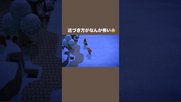 【 あつ森 】急に詰められる距離🦍