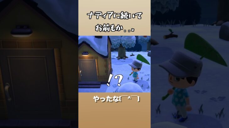 テント仲間だったのに..。　#あつ森 　#あつまれどうぶつの森