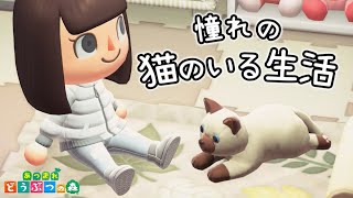 【あつ森】猫を飼い始めます。【あつまれどうぶつの森】