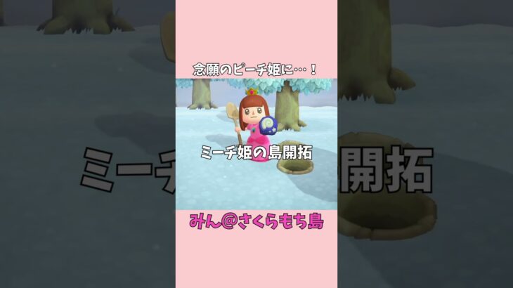 【あつ森】念願のピーチ姫に変身！プリンセスが島開拓する様子がこちら！