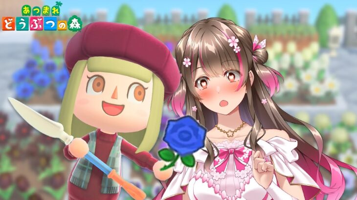 【あつ森】時間操作なしで０から青バラを咲かせたい！青バラ交配花壇を作るよ【あつまれどうぶつの森】
