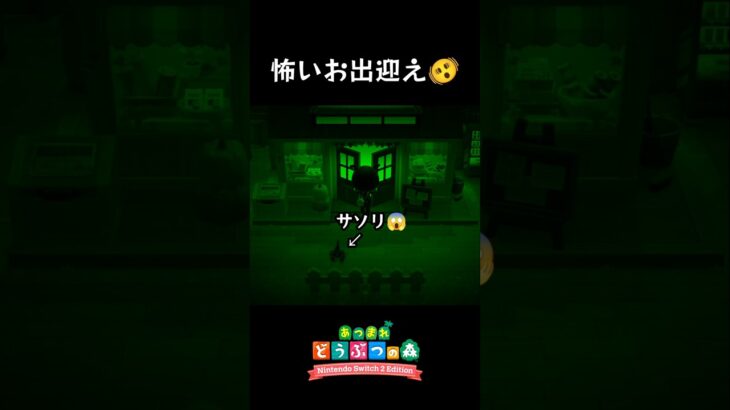 サ、サ、サソリィィー😭【あつ森】