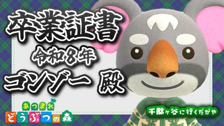 【あつ森雑談】新たな出会いにかけて【ツナカン】#島活