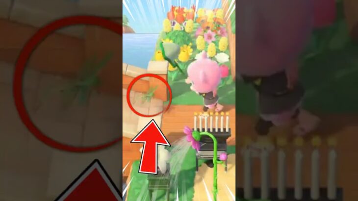 芸術点の高すぎる虫取り大会 #あつ森