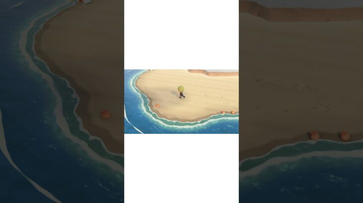 【あつ森】久々にあのゲストが島に来た