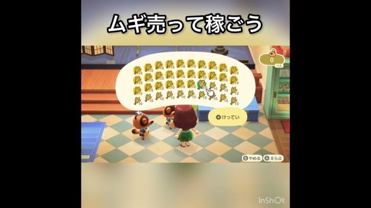 【あつ森】ムギ売ってみた　結果　ベル稼ぐ　#vlog #あつ森 #あつまれどうぶつの森 #こはくちゃんねる2424
