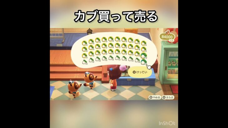 【あつ森】カブ売ってみた　結果　ベル稼ぐ　#vlog #あつ森 #あつまれどうぶつの森 #こはくちゃんねる2424
