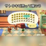 【あつ森】サトウキビ売ってみた　結果　ベル稼ぐ　#vlog #あつ森 #あつまれどうぶつの森 #こはくちゃんねる2424