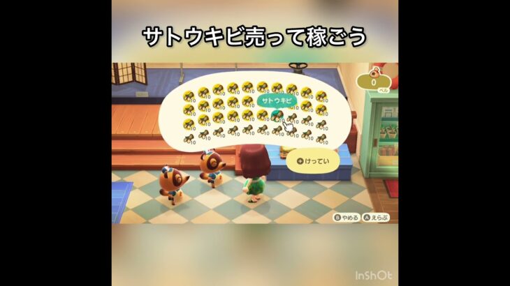 【あつ森】サトウキビ売ってみた　結果　ベル稼ぐ　#vlog #あつ森 #あつまれどうぶつの森 #こはくちゃんねる2424