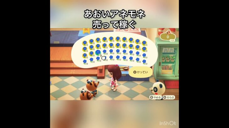 あおいアネモネ売ってみた　結果　ベル稼ぐ　#vlog #あつ森 #あつまれどうぶつの森 #こはくちゃんねる2424