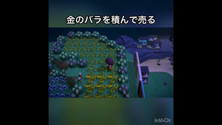 【あつ森】金のバラ売ってみた　結果　ベル稼ぐ　#vlog #あつ森 #あつまれどうぶつの森 #こはくちゃんねる2424