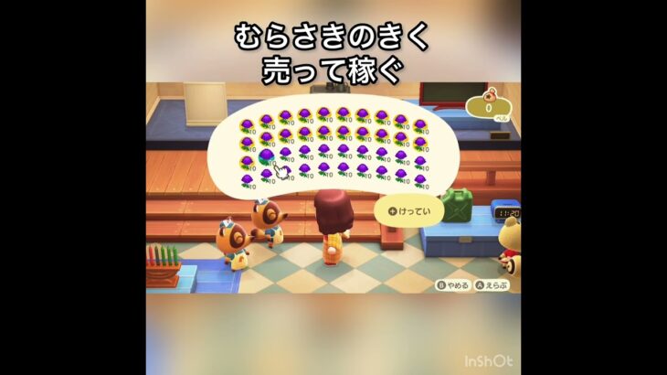 むらさきのキク売ってみた　結果　ベル稼ぐ　#vlog #あつ森 #あつまれどうぶつの森 #こはくちゃんねる2424