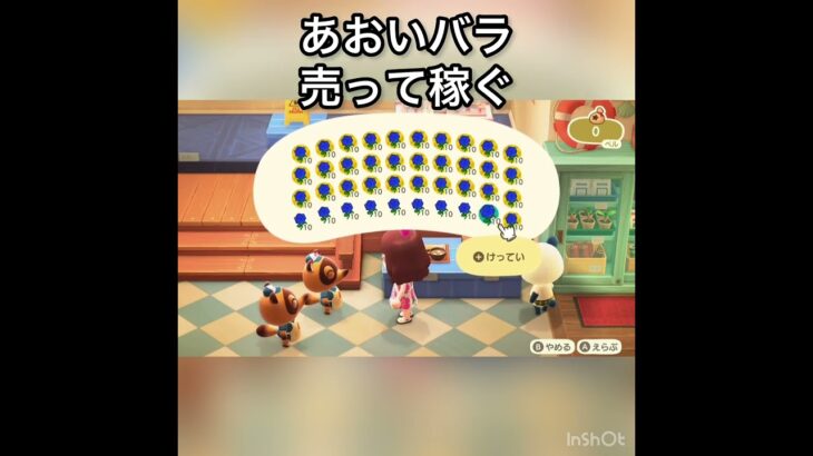 あおいバラ売ってみた　結果　ベル稼ぐ　#vlog #あつ森 #あつまれどうぶつの森 #こはくちゃんねる2424