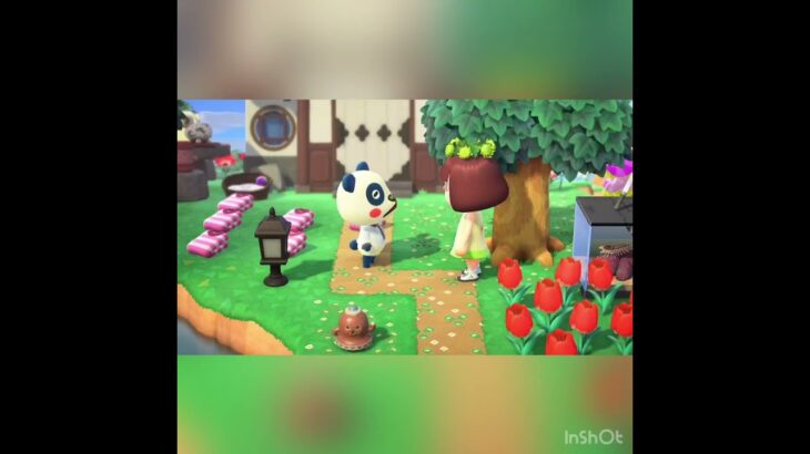 【青バラ配る】vlog #あつ森 #あつまれどうぶつの森 #こはくちゃんねる2424 #リゾート#ホテル#旅行#観光客