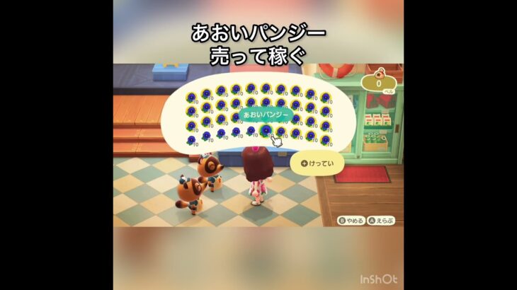 あおいパンジー売ってみた　結果　ベル稼ぐ　#vlog #あつ森 #あつまれどうぶつの森 #こはくちゃんねる2424