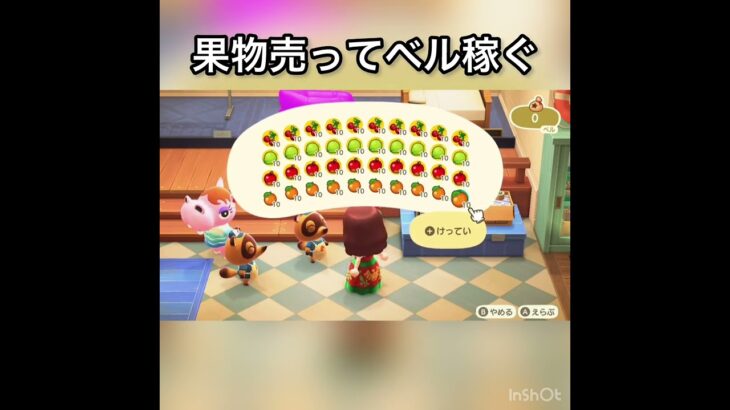 【フルーツ売って効率良く稼ぐ】結果　ベル稼ぐ　#vlog #あつ森 #あつまれどうぶつの森 #こはくちゃんねる2424