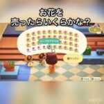 【あつ森】お花を売ってみた　結果　ベル稼ぐ　#vlog #あつ森 #あつまれどうぶつの森 #こはくちゃんねる2424