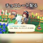【あつ森】住人みんなにバレンタインチョコを配る　#vlog #あつ森 #あつまれどうぶつの森 #こはくちゃんねる2424