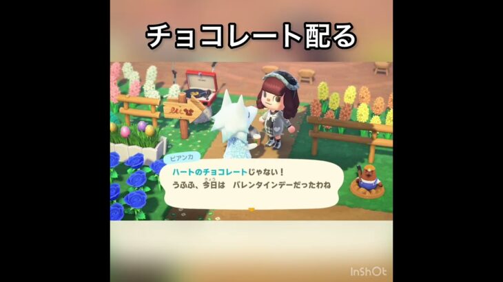 【あつ森】住人みんなにバレンタインチョコを配る　#vlog #あつ森 #あつまれどうぶつの森 #こはくちゃんねる2424