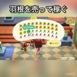 　【あつ森】羽を売ってみた　結果　ベル稼ぐ　#vlog #あつ森 #あつまれどうぶつの森 #こはくちゃんねる2424