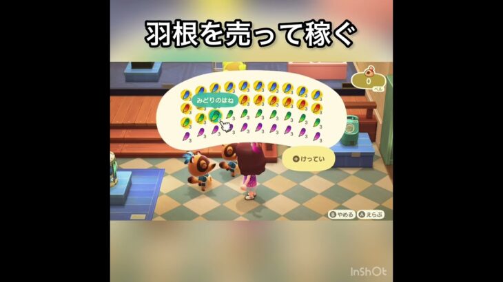 　【あつ森】羽を売ってみた　結果　ベル稼ぐ　#vlog #あつ森 #あつまれどうぶつの森 #こはくちゃんねる2424