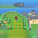 【あつ森】一週間金バラだけ摘んだらいくら稼げる？　#vlog #あつ森 #あつまれどうぶつの森 #こはくちゃんねる2424