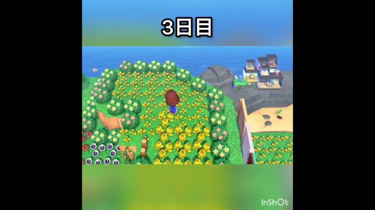 【あつ森】一週間金バラだけ摘んだらいくら稼げる？　#vlog #あつ森 #あつまれどうぶつの森 #こはくちゃんねる2424