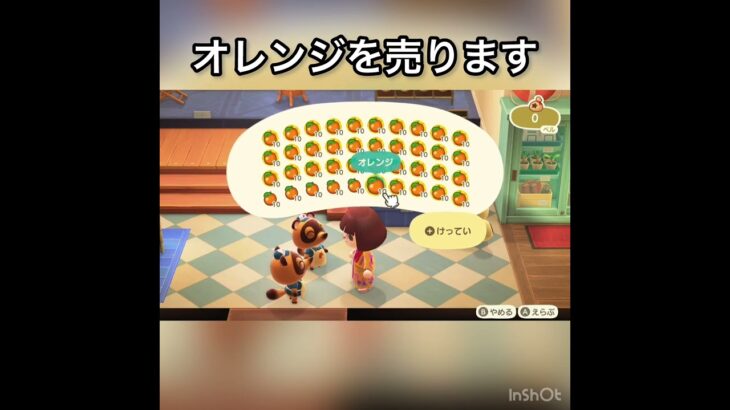 【あつ森】オレンジ売ってベル稼ぐ　#vlog #あつ森 #あつまれどうぶつの森 #こはくちゃんねる2424  初心者さんにおすすめ
