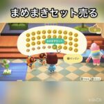 【あつ森】まめまきセット売ってみた　結果　ベル稼ぐ　#vlog #あつ森 #あつまれどうぶつの森 #こはくちゃんねる2424