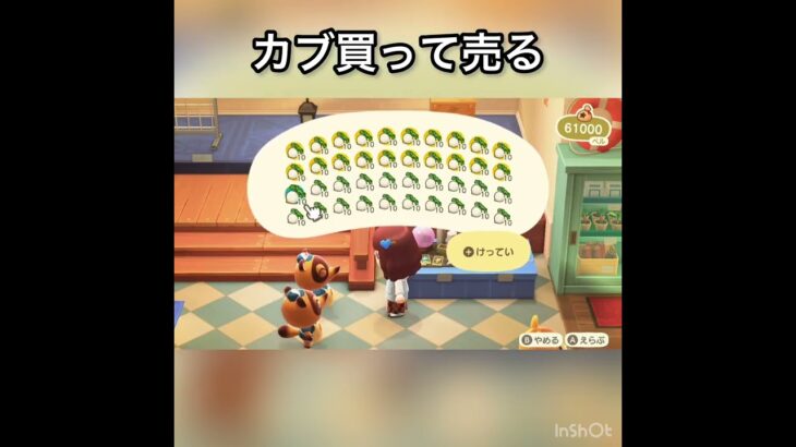 【あつ森】カブ売ってみた　結果　ベル稼ぐ　#vlog #あつ森 #あつまれどうぶつの森 #こはくちゃんねる2424