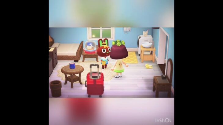 【サントス】#vlog #あつ森 #あつまれどうぶつの森 #こはくちゃんねる2424 #リゾート#ホテル#旅行#観光客