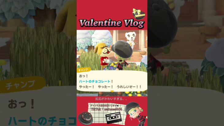 あったけえ #あつ森 #あつまれどうぶつの森 #田舎島 #バレンタイン #vlog #short